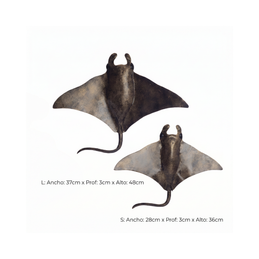 RAY ANTQ