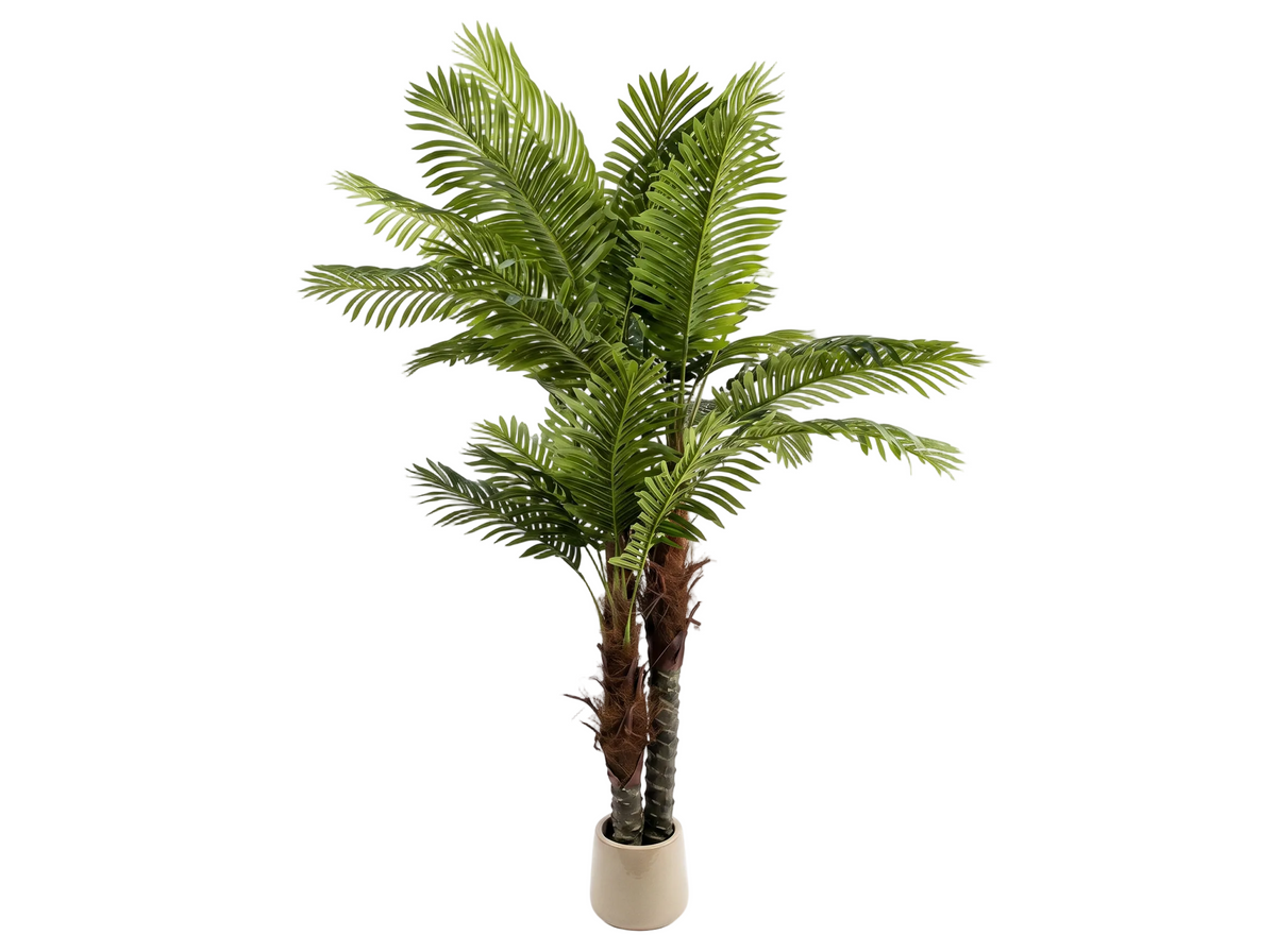 ARECA