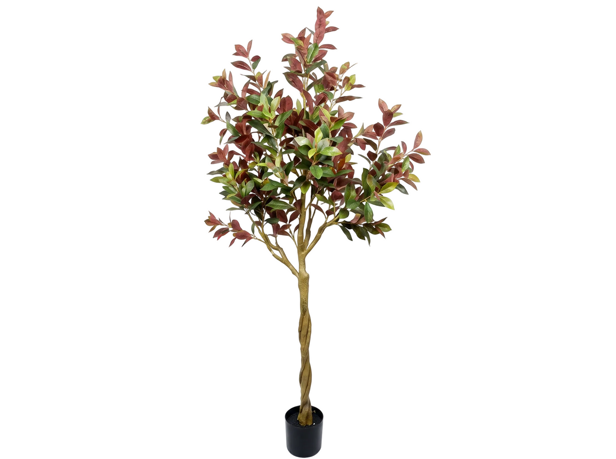 LAUREL DE INDIAS