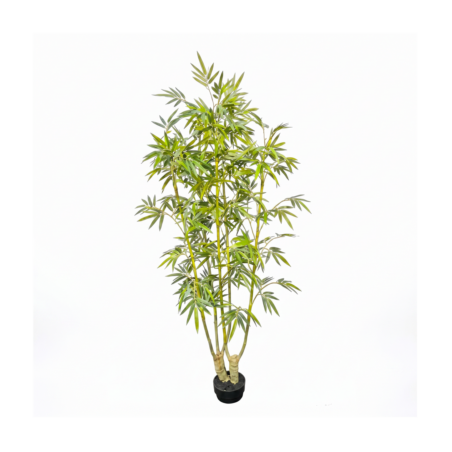 BAMBU