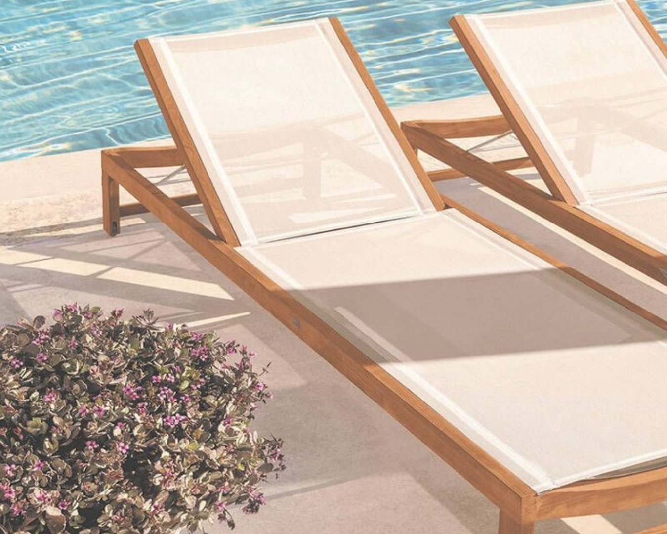 Asoleadoras y Canapés