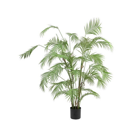 ARECA