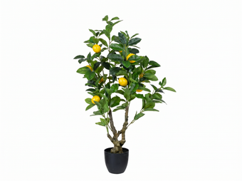 compare product LIMONERO