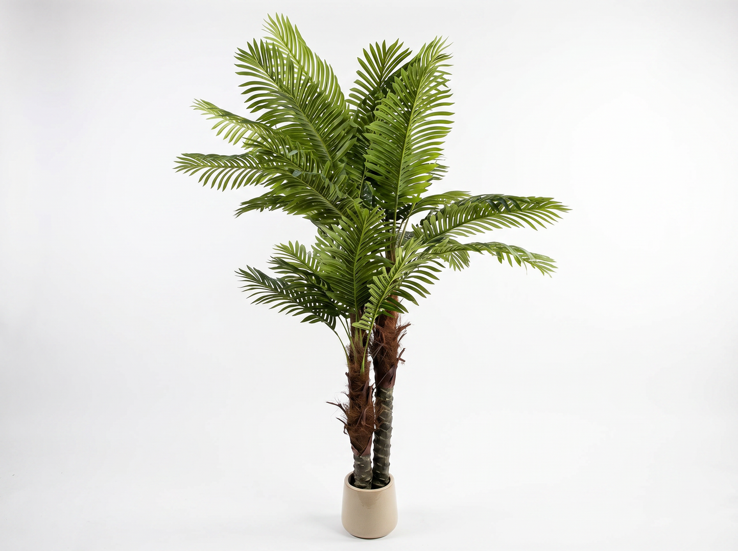 ARECA
