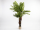ARECA