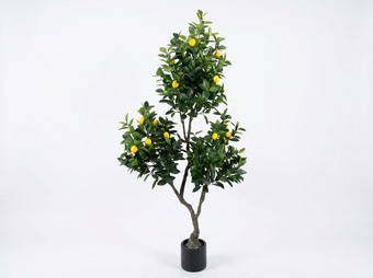 compare product LIMONERO