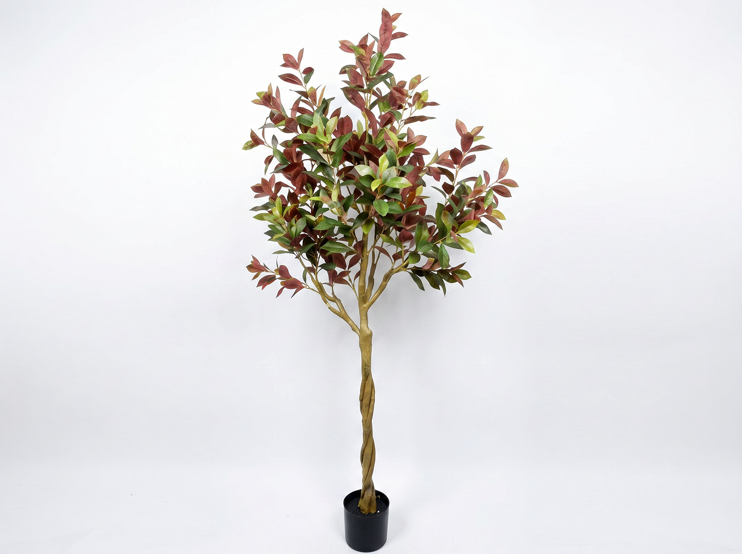 LAUREL DE INDIAS