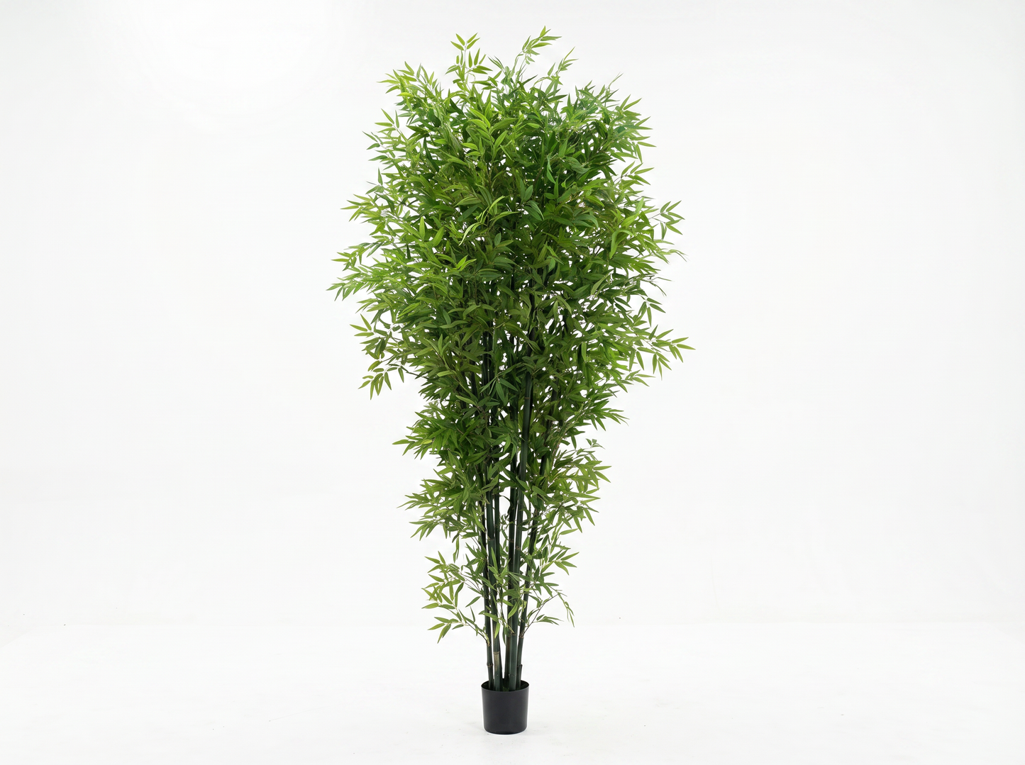 BAMBU
