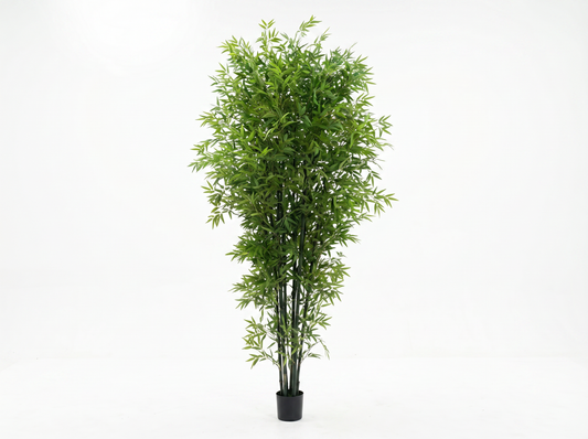 BAMBU