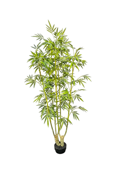 BAMBU