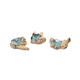 PISCIS