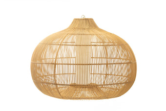 compare product MACTAN