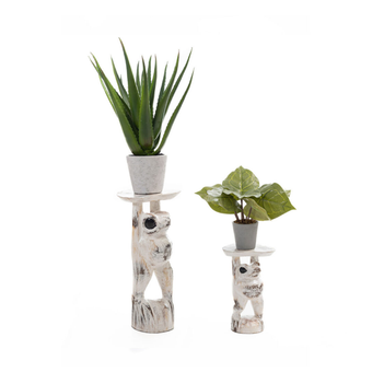 compare product RENE