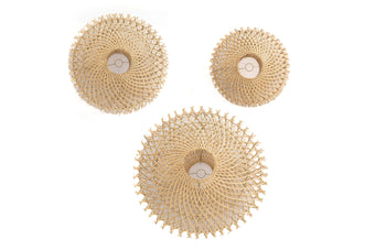 compare product ADITI