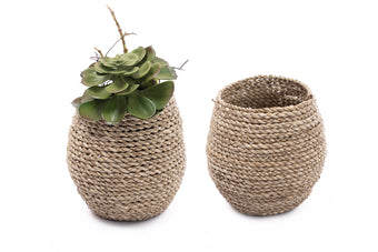 compare product BELGIN