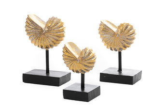 compare product CALILLA DOR NGR