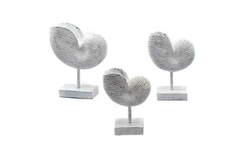 compare product CALILLA WW