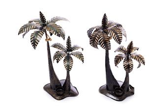 compare product CAMADOREA