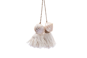 compare product CAREY