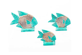 compare product CATURS AGM