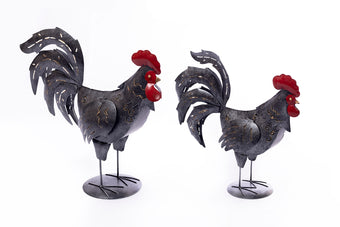 compare product CLAUDIO