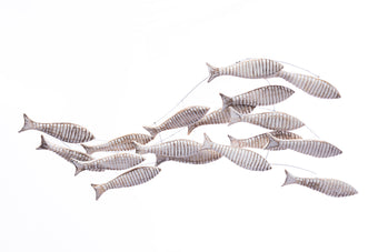 compare product CONGRIO