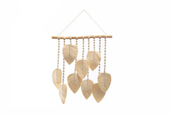 compare product FOLHA 1