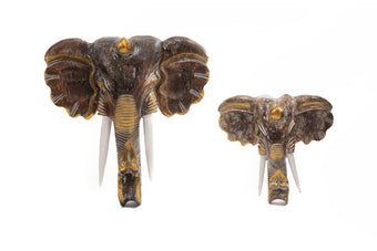 compare product FRESNO CFE