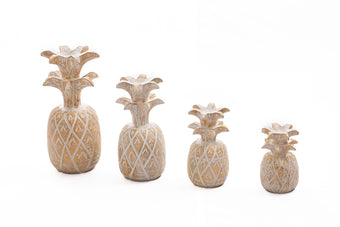 compare product FRUTSU