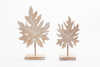 compare product GEDANG