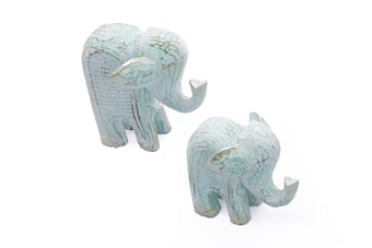 compare product KANPUR AQUA PLT