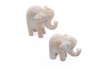 compare product KANPUR NAT