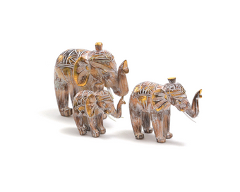 compare product KILO CFE