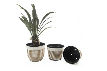 compare product KLARA BLC/NAT