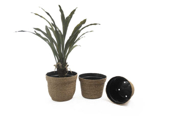 compare product KLARA NAT