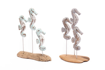 compare product KUDA LAUT