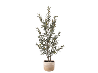 compare product OLIVO