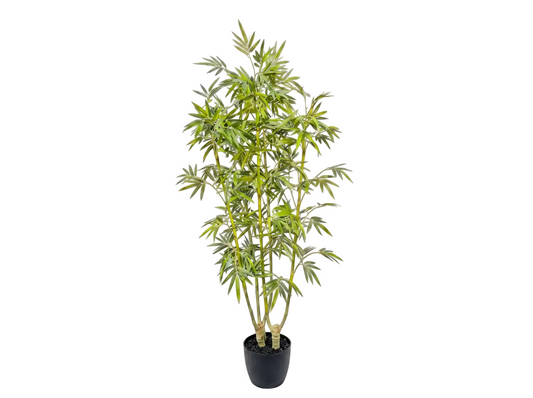 BAMBU