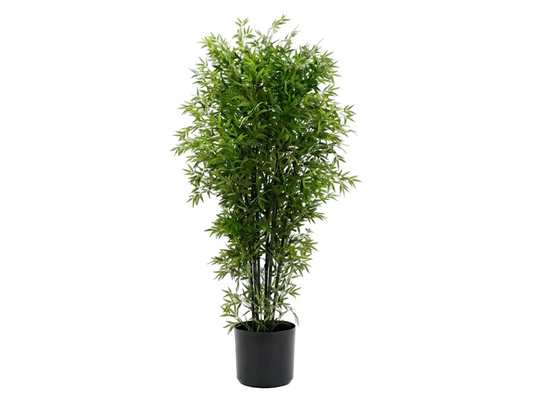 BAMBU