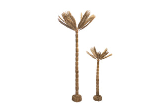 compare product NOLI