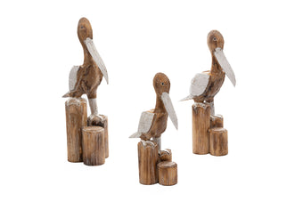 compare product PETROS WW