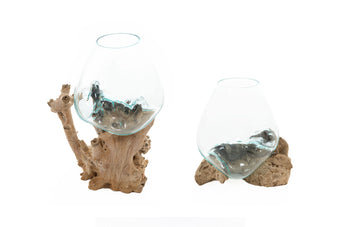 compare product PISCIS L