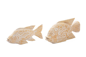 compare product SAKANA