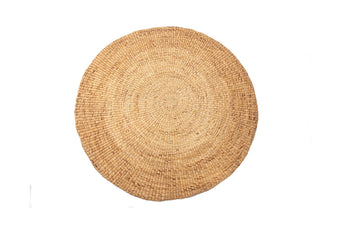 compare product SHAILA