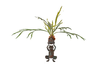 compare product SNOOP